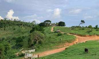 Imagem 4: 618 Alq. (2.990 Há). Pacajá - PA. ( Pecuária - Documentação Ok