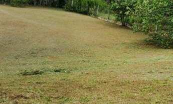 Imagem 6: Casa com muita área verde à venda no Condomínio City Castelo em Itu/SP!!