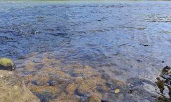 Imagem 7: Terrenos Financiados Próximos ao Rio Pará na Região de Divinópolis