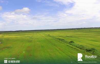 Imagem 8: Fazenda de projeto irrigado por controle de lençol freático na Lagoa da Confunsão - TO