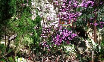 Imagem: VENDE-SE Chácara em Condomínio de luxo