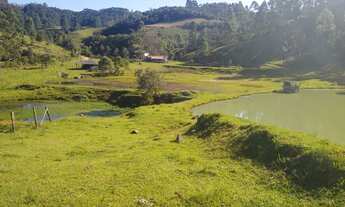 Imagem 6: Terreno Rural de 10 hectares