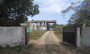 Imagem: CAUCAIA - Terreno Padrão - Jacarandá