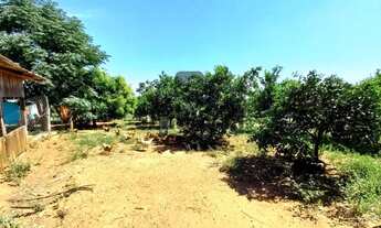 Imagem 4: Sítio com 7,1h, casa, galpão, piscina em Triunfo - Aceito veículo