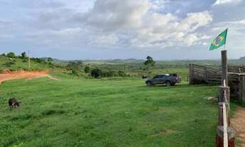 Imagem 6: 618 Alq. (2.990 Há). Pacajá - PA. ( Pecuária - Documentação Ok