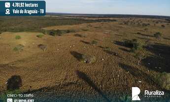 Imagem: Fazenda bem estruturada para grandes investidores