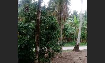 Imagem 4: Vendo grande terreno em Saquarema