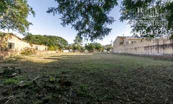 Imagem 5: PORTO ALEGRE - Terreno Padrão - Ipanema