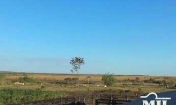 Imagem 6: Fazenda em Araguacema-TO. > 300 Alq. (1.452 Há