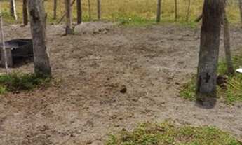 Imagem 13: FAZENDA RURAL em SANTA CRUZ CABRÁLIA - BA, R. Estr. Velha