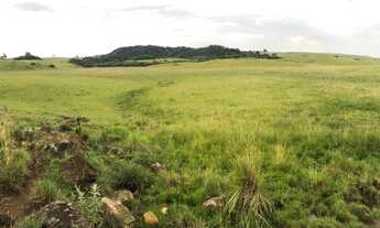 Imagem: CHÁCARAS RINCÃO DAS FLORES - CAXIAS