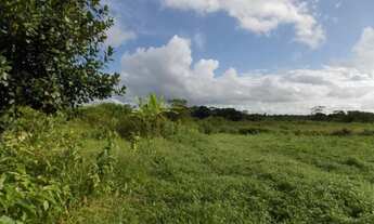 Imagem 3: Vendo terreno Plano, no Km 12 de Aldeia, excelente para empreendimentos