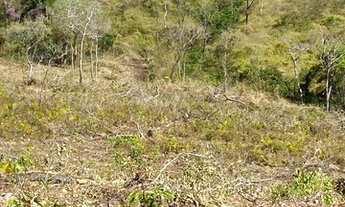 Imagem 3: Vendo chácara Chácara com venda por R$130.000