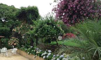 Imagem 3: Vendo sítio condomínio fechado Quintas das esmeraldas