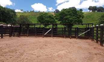 Imagem 7: Fazenda no Marilac/MG - 39 Alqueires