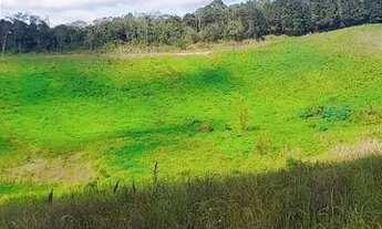 Imagem: Lote/Terreno para venda possui 500 metros