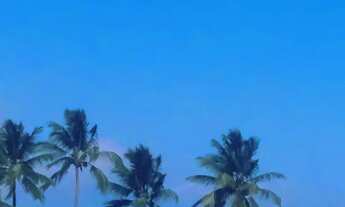 Imagem 2: Apartamento alugar Piedade 3.600 com taxas