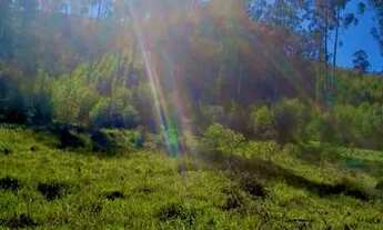 Imagem 7: Sinta a Tranquilidade: 600m² em Condomínio Exclusivo