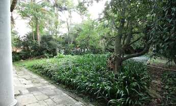 Imagem 6: Casa com extenso terreno ao lado da Praça Panamericana, à venda no Alto de Pinheiros - Sã