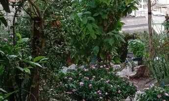 Imagem: Casa na zona leste SP, 3 cômodos