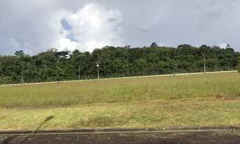 Imagem 3: Lote alphavilelle 0104 A