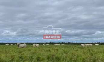 Imagem 6: FAZENDA 1.050 alqueires ( 5.082 hectares ) SUL PARÁ