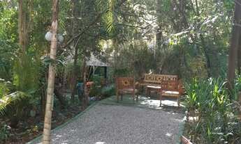 Imagem 6: Apartamento para Aluguel - Bosque da Saúde, 4 Quartos, 300 m2