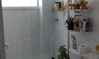 Imagem 7: Vale do Gotinguiba 53317