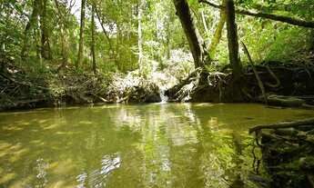 Imagem 7: Lote com 1.000 MTS