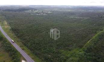 Imagem 6: 620.000m² plano em localização com fácil acesso pela BR 101 Terreno para Grandes Empreendi