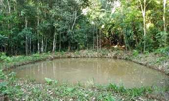 Imagem 6: Chácara / Sítio com cachoeira em Picada Verão Sapiranga