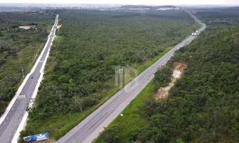 Imagem 4: 620.000m² plano em localização com fácil acesso pela BR 101 Terreno para Grandes Empreendi