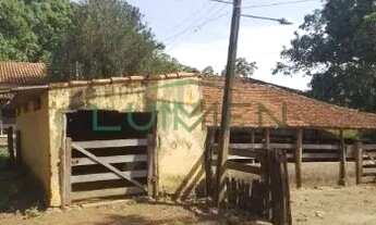 Imagem 6: Fazenda com 9,42 alqueires mineiro à venda na Rodovia 262 próxima a Uberaba-MG