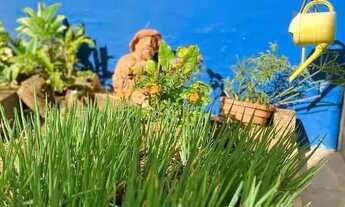 Imagem 3: Chacara Coqueirao