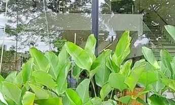 Imagem 2: Prédio - Nova Campinas - Campinas