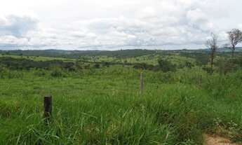 Imagem 6: Fazenda monta pecuária triângulo mineiro
