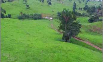 Imagem 7: Fazenda monta pecuária triângulo mineiro
