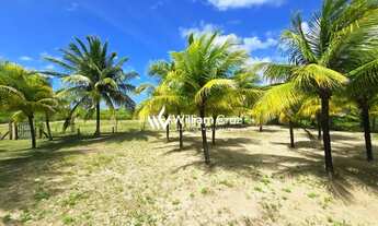 Imagem 6: Terreno Beira-Mar Exclusivo no Pontal do Boqueirão Japaratinga