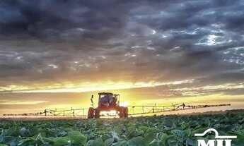 Imagem 2: Fazenda Agrícola em Acreúna-GO. 130 Alqueires (629 Hectares)