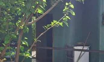 Imagem 7: Mini chacara linda