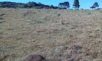 Imagem 2: Chácara em mato queimado 2 km da estrada do Cazuza ferreira