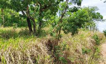 Imagem 7: Terreno 2 mil metros senador canedo