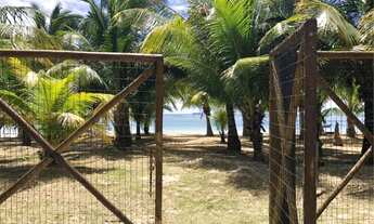 Imagem: Casa de veraneio. Na ilha de Itaparica