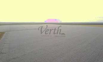 Imagem 5: Fazenda à Venda 3.300 ha Nova Mutum -MT