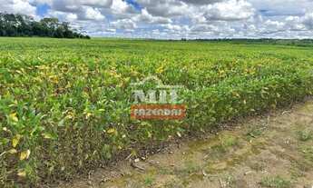 Imagem: Fazenda 125 alqueires (605 Hectares) Piranhas