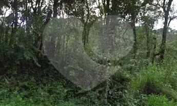 Imagem 6: Terreno à venda em Barreirinha - PR