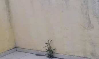 Imagem 6: Casa pronta para morar no Alto do papagaio