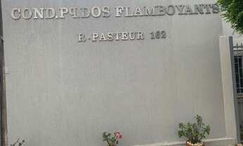 Imagem 5: Oportunidade Jardim Planalto