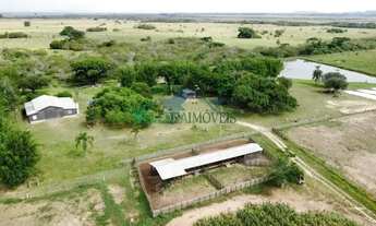 Imagem 2: Velleda oferece excelente fazenda de 46 hectares com estrutura em Viamão!