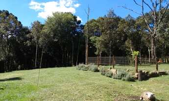 Imagem 5: Sítio 3hectares em Cambará do sul